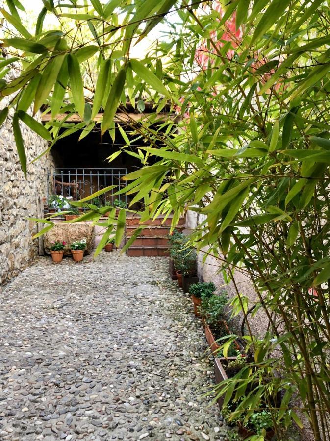 La Posada De Lola El Molar Bagian luar foto